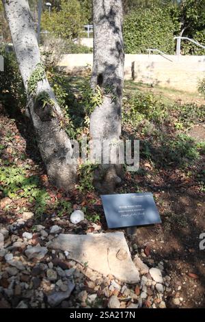 Oskar & Emilie Schindler Tree in the Avenue of the Righteous Among the ...