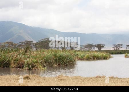African landscape Stock Photo