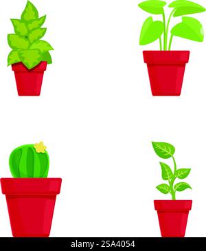 Set of four different potted plants including a cactus and leafy greens, isolated on a white background. Collection of potted plants illustration Stock Vector