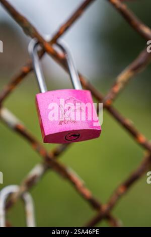 Colorful padlock hangs on rusted chain link fence in a peaceful setting Stock Photo
