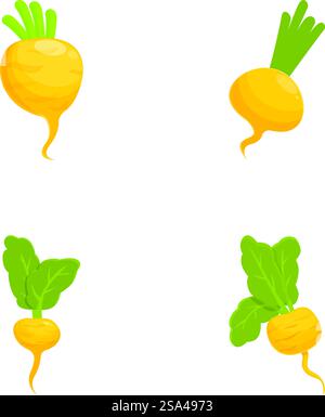 Vibrant set of four root vegetable illustrations isolated on white background. Colorful root vegetables illustration collection Stock Vector