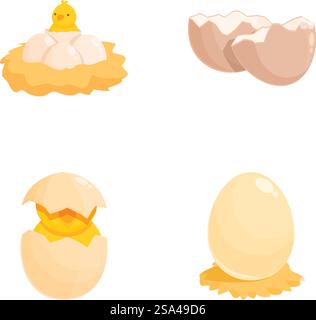 Set of cartoonstyle vector icons depicting various stages of a chicken&rsquo;s life cycle from egg to hatching. Chicken life cycle stage vector icons Stock Vector