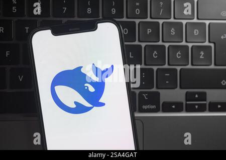 Slovenia, Ljubljana - 28 Jan 2025: DeepSeek logo displayed on smartphone screen Stock Photo
