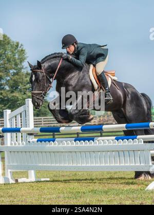 A rider and horse jump over an obstacle during the Longines Global ...