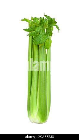 Green celery stalk isolated cutout on white Stock Photo