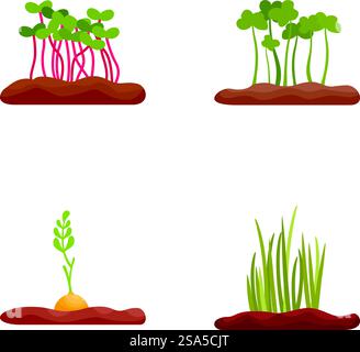 Illustrated stages of growth for vegetable plants, perfect for educational materials. Set of cartoon vegetable plants growth stages Stock Vector