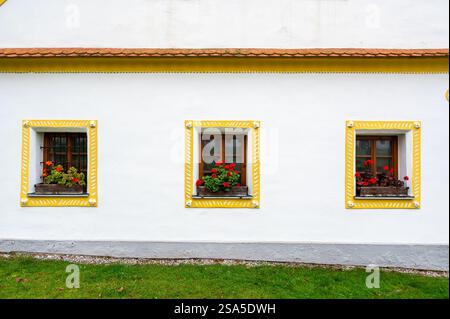 White wall of a medieval farmhouse with three windows framed by yellow historical trims. Bright red geraniums bloom on the windowsills, adding charm t Stock Photo