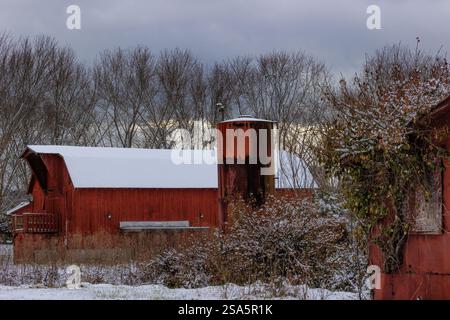 Two red barns and a silo, seen below a hill with a forest of deciduous trees in this wintery rural agricultural ground snowy scene in Tennessee. Stock Photo