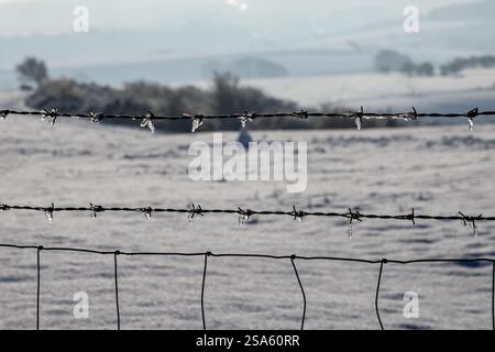 A close up of a barbed wire fence with ice crystals, on a snowy January day Stock Photo
