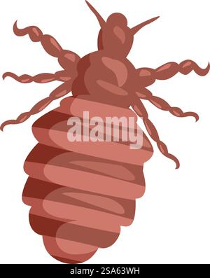 Brown louse insect spreading infection through bloodsucking, parasite ...