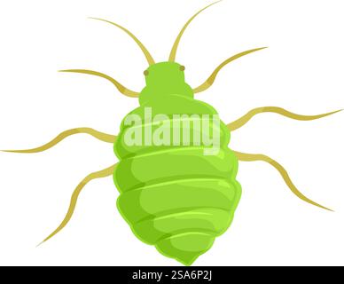 Green aphid insect with long legs and antennae, a common garden pest. Green aphid insect spreading its legs on white background Stock Vector