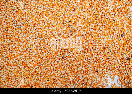 Full frame background top view of raw yellow corn seeds scattered on surface Stock Photo