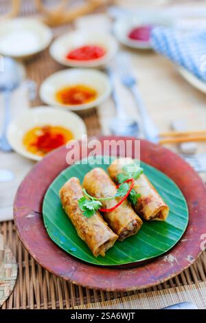 Vietnamese fried spring rolls with sweet chili sauce Stock Photo