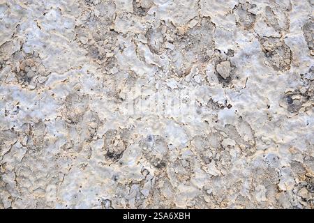 A close-up view of the cracked and parched surface of a dried waterhole in Botswana, showing pale earthy tones and textured patterns caused by evapora Stock Photo