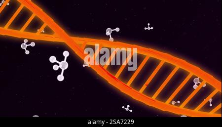 Image of dna strand over molecues Stock Photo