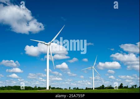 Wind Turbines on Wolf Island, Kingston, Ontario Stock Photo