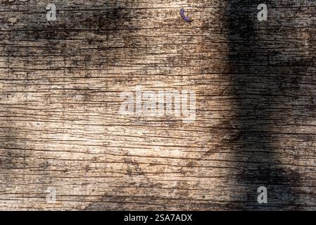 Abstract background of old demolition wood. Stock Photo