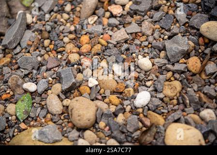 pebble stones on a riverbank in Brazil. Stock Photo