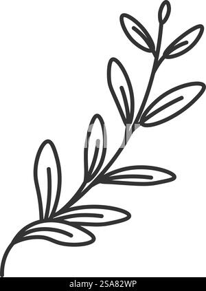 Branch of thyme, aromatic and fragrant spice for cooking and preparing food. Ingredient with leaves and twig, stem and foliage. Isolated monochrome outline icon. Vector in flat style illustration. Thyme plant leaf, branches of aromatic herb spice Stock Vector