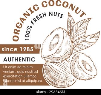 Fresh coconuts, vegan snacks. Tasty ingredients for making desserts and drinks. Organic natural meal for balanced nutrition. Promotional banner or product package sticker. Vector in flat style. Organic coconut fresh nuts, snacks for vegans Stock Vector