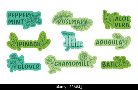 Sticker design set with line seasoning herbs. Colorful label collection with organic ingredient and sign collection, vector illustration. Tag design with peppermint, rosemary, aloe vera and spinach. Sticker design set with line seasoning herbs Stock Vector