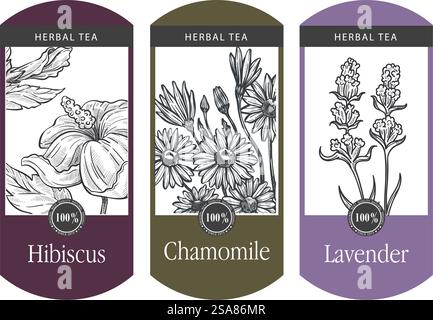 Organic and natural herbal tea, hibiscus, chamomile and lavender. Blooming flowers and leaves on branches, floral design for product. Package logotype or label, emblem or logo. Vector in flat style. hibiscus, chamomile and lavender tea package logo Stock Vector