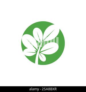 Moringa logo vector template symbol nature Stock Vector