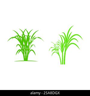 Sugarcane logo vector template symbol design Stock Vector
