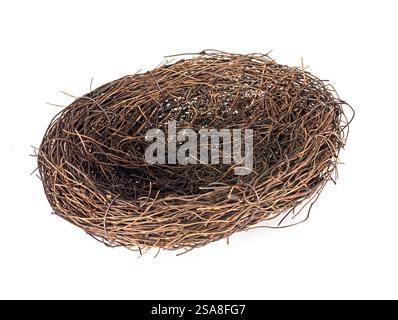 nest of easter in front of white background Stock Photo
