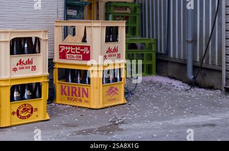 Close-up view of several stacked cases of empty beer bottles behind a warehouse in Tokyo, with cherry blossom petals covering the ground around Stock Photo