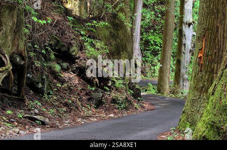 First person view of a very windy narrow road on a heavily forested mountainside on a sunny day in early summer Stock Photo