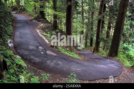 First person view of a narrow road making a sharp turn on a heavily forested mountainside on a sunny day in early summer Stock Photo