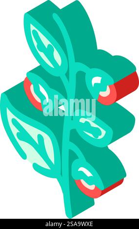 ashwagandha ayurvedic herb isometric icon vector. ashwagandha ayurvedic herb sign. isolated symbol illustration. ashwagandha ayurvedic herb isometric icon vector illustration Stock Vector