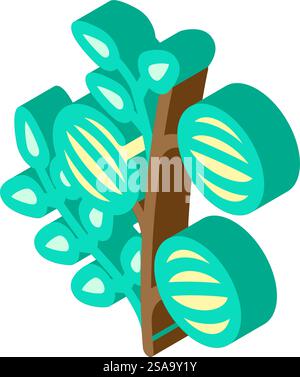 amla ayurvedic herb isometric icon vector. amla ayurvedic herb sign. isolated symbol illustration. amla ayurvedic herb isometric icon vector illustration Stock Vector