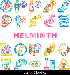 helminth worm parasite nematode icons set vector. tapeworm roundworm, flatworm hookworm, whipworm fluke, cestode, trematode helminth worm parasite nematode color line illustrations. helminth worm parasite nematode icons set vector Stock Vector