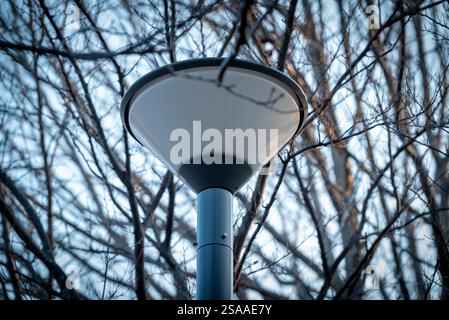 Inverted cone-type street lamp in the woods Stock Photo