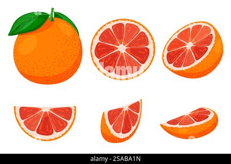Ripe grapefruit whole and sliced set isolated on white background. Vector flat cartoon illustration. Citrus tropical fruit design elements Stock Vector