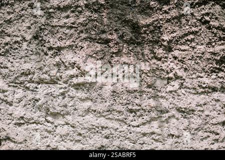 Close-up of a textured concrete wall with variations in shade and surface detail. Ideal for backgrounds and overlays. Stock Photo