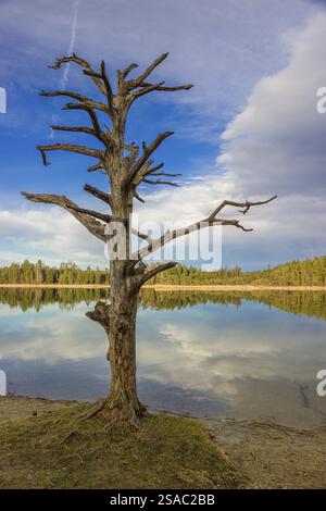 Lake Fohnsee of the Ostersee-group in early morning light Stock Photo ...