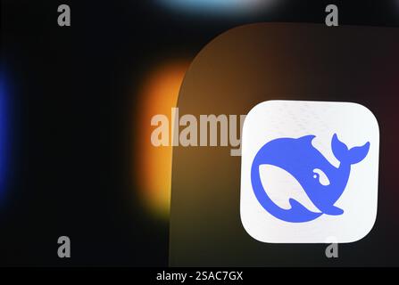 A close up of an iPad screen displaying the Deepseek Ai app icon Stock Photo