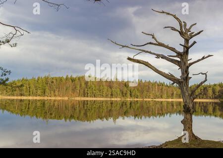 Lake Fohnsee of the Ostersee-group in early morning light Stock Photo ...