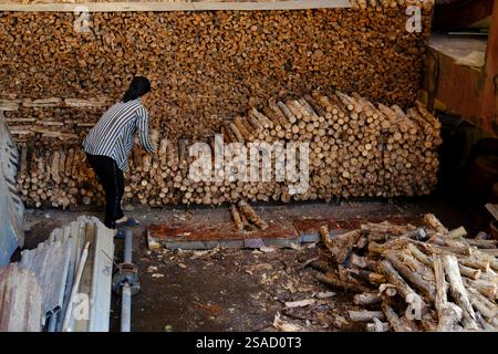 Storage of logs for the kitchen. Woman working to organize storage. Tan Chau. Vietnam. Stock Photo