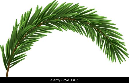 Green Christmas fir tree branch element. Vector illustration Stock ...