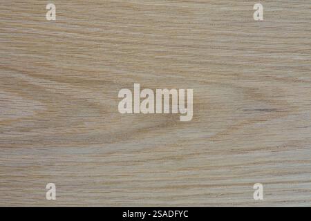 wood oak plank texture background Stock Photo