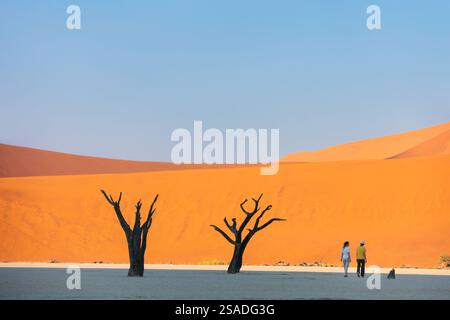Back view of family mother and son walking among dead camelthorn trees surrounded by red dunes in Deadvlei in Namibia Stock Photo