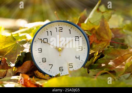 Autumn time. Alarm clock among fallen leaves, closeup Stock Photo