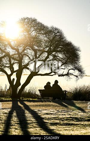 Elderly couple on park  bench, sunrise Stock Photo