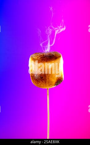 Toasted gooey marshmallow on stick with vibrant background Stock Photo