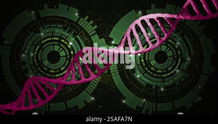 DNA strand image over green digital interface background Stock Photo