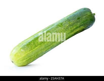 Side view of single long green cucumber is isolated on white background with clipping path. Stock Photo
